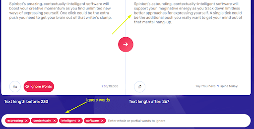 Screenshot of customization options on Spinbot tool