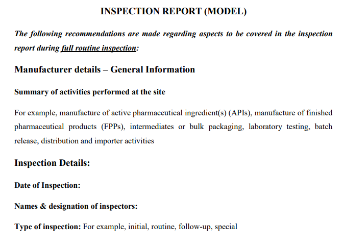 Example-of-inspection-routine-report-of-a-manufacturing-firm
