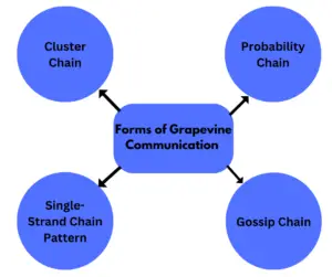 Diagram-of-grapevine-communication