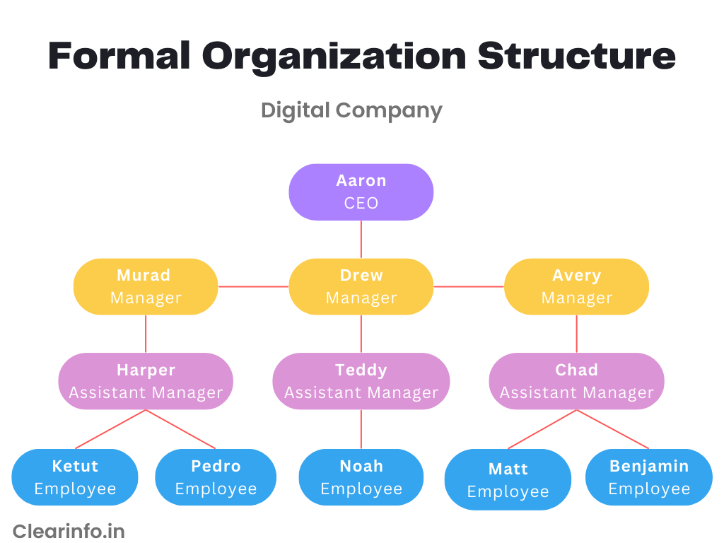Diagram-of-formal-organization-structure-in-digital-company